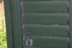 CIMG0086
