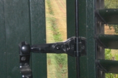 CIMG0090